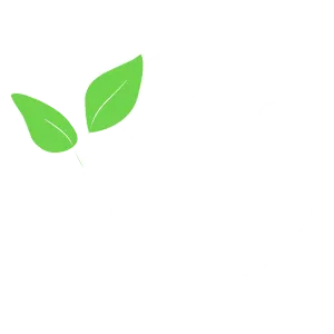 Custom sustainable shoes