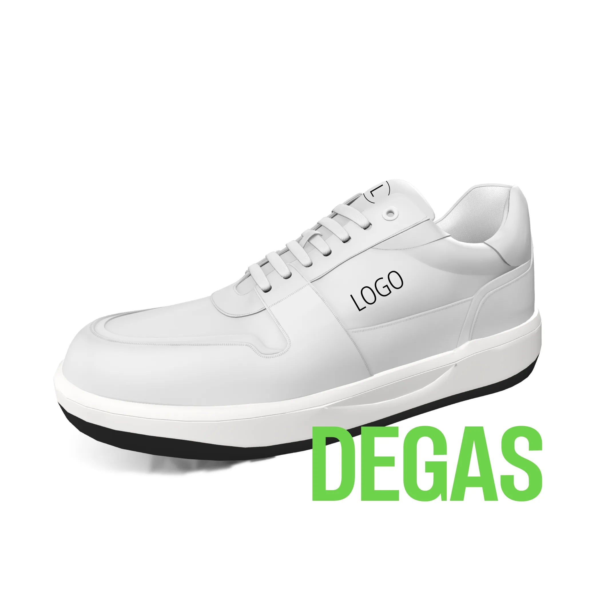 DEGAS model
