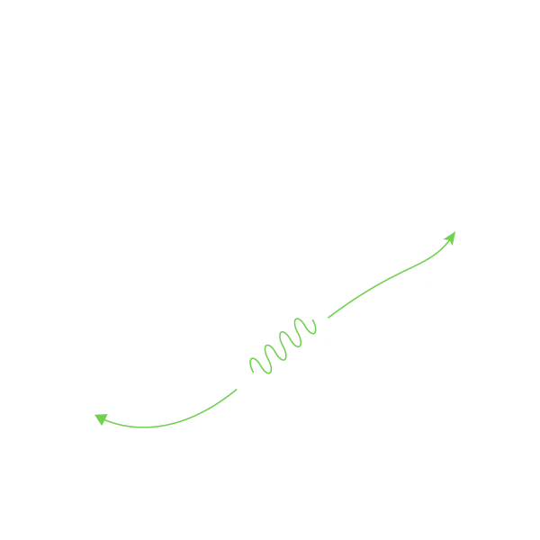 SOLE