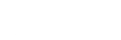 Icono 1