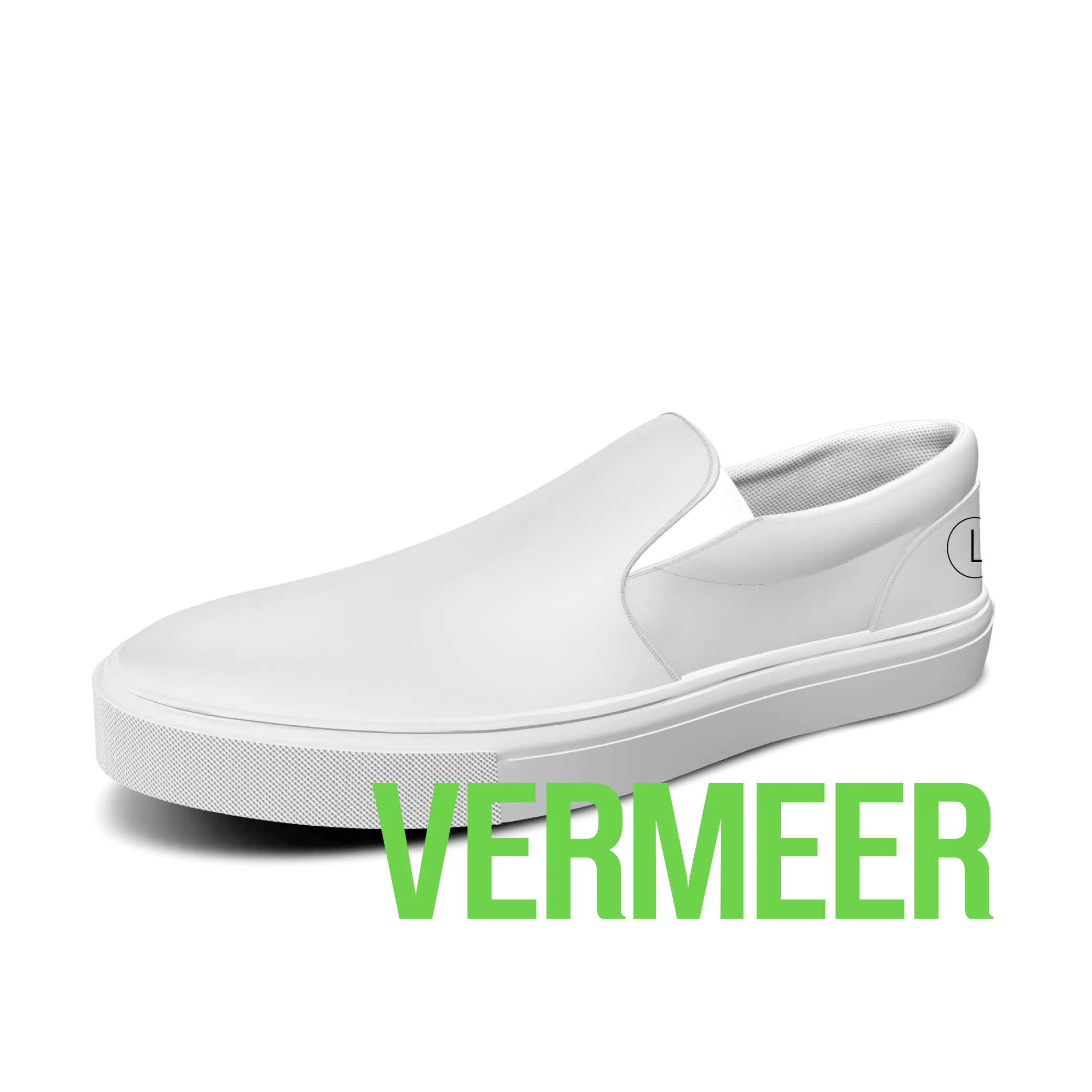 VERMEER model